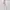 Laica Ivory Legging