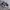 Nike Air Jordan 1 Low Navy White Black photo 2