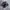 Asics Gel-1130 Black Gray Pure Silver photo 1