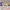 Mainan Barbie Pet Set: 1 Butterfly & 2 Golden Retriever photo 6