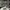 ADIDAS ORIGINALS CITY SERIES BUSENITZ VINTAGE CRYSTAL , ADID photo 1