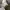 ADIDAS ORIGINALS CITY SERIES BUSENITZ VINTAGE CRYSTAL , ADID photo 8