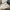 ADIDAS ORIGINALS CITY SERIES BUSENITZ VINTAGE CRYSTAL , ADID photo 7