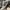 ADIDAS ORIGINALS CITY SERIES BUSENITZ VINTAGE CRYSTAL , ADID photo 6
