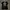 Chrome Hearts Graphic T-shirt