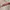 [NEW]Skintific Peptide Brightening Lip Serum photo 3