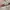 [NEW]Skintific Peptide Brightening Lip Serum photo 2