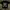 ts thanksinsomnia photo 1