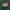 Dickies two pocket green workshirt photo 3