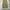 Lafudge Store One Tuck Wide Linen Pants