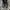 western cowboy boots Worverine  photo 3