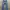 00’s Levi’s Engineered Iconic Straight Blue Denim Pants