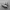 nike jordan photo 1