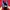 Vans SK8 low contras photo 1