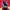 Vans SK8 Low Contras