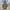 BROWNY HOODIE BOXY OVERSIZE SHERPA WARNA ARMY GREEN DALEMAN  photo 1
