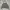 BROWNY HOODIE BOXY OVERSIZE SHERPA WARNA ARMY GREEN DALEMAN  photo 2