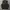 Tactical Army Vest Fire Fox photo 1