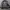 Tactical Army Vest Fire Fox photo 2