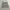 SIGNATURE BY LEVI'S CARGO SHORT  photo 1