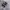 Vans Authentic Classic OG Black White photo 3