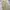 Musinsa standard two tuck wide pants photo 4