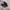 Vans Authentic Classic OG Full Black photo 2