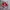 Vans Authentic Classic OG Red Chilli photo 2
