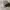 Vintage military japanese comando hat army photo 1