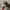 Vintage military japanese comando hat army photo 3