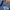Levi’s 511 Slim Jeans “Premium Collection” Big E redtab photo 6