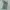 Short Pants Cargo Camo Tiger Military YMCL KY photo 5