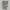 Short Pants Cargo Camo D. Stranik Comfortable photo 6