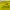 Misogi - Jersey 19 yellow photo 3