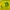 Misogi - Jersey 19 yellow photo 4