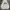 Hoodie Paragraph photo 2