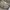 Kapital Kountry Vintage Streetwear Other Pria tan gray photo 3