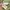 Kapital Kountry Vintage Streetwear Other Pria tan gray photo 6
