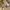 Patagonia cream chinos short pants  photo 7