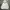 Hoodie Uniqlo Putih Uniqlo White Hoodie Uniqlo Side Pocket