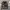LEVIS HOODIE CAMOUFLAGE PLAID HYBIRD
