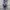 Shein Women Midi Dress photo 7