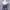 Shein Women Midi Dress photo 6
