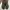 Dr martens Adrian Tassel Black photo 3