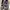 Adorable Projects Swift Sneakers Ballerina Light Grey photo 1