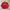MLB Streetwear Windbreaker Pria red photo 1