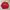 MLB Streetwear Windbreaker Pria Red