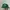 Vtg Y2K Rocawear Green White Logo photo 2