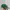 Vtg Y2K Rocawear Green White Logo photo 4