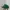 Vtg Y2K Rocawear Green White Logo photo 1